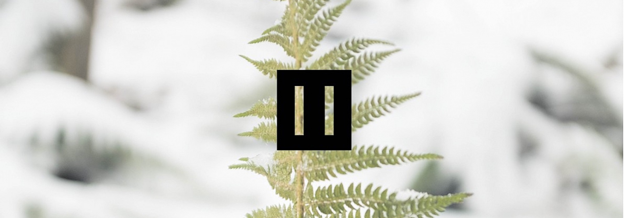 teaserbild